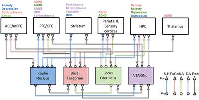 Neuromodulatory Systems and Their Interactions: A Review of Models, Theories, and Experiments